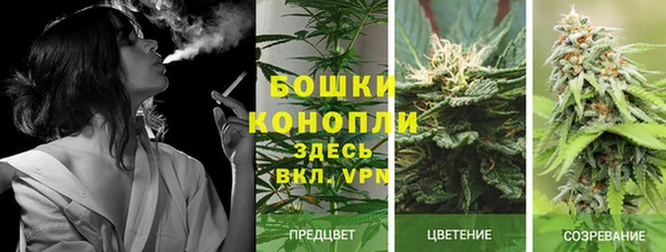 apvp Аркадак