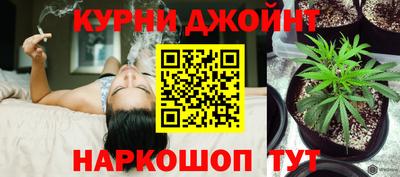 винт Будённовск