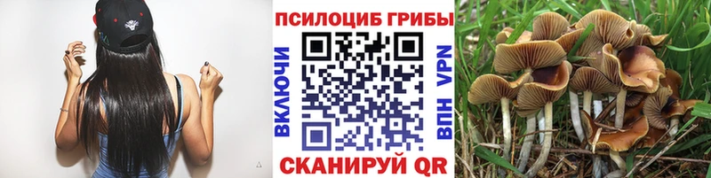 Галлюциногенные грибы Cubensis  Коломна 