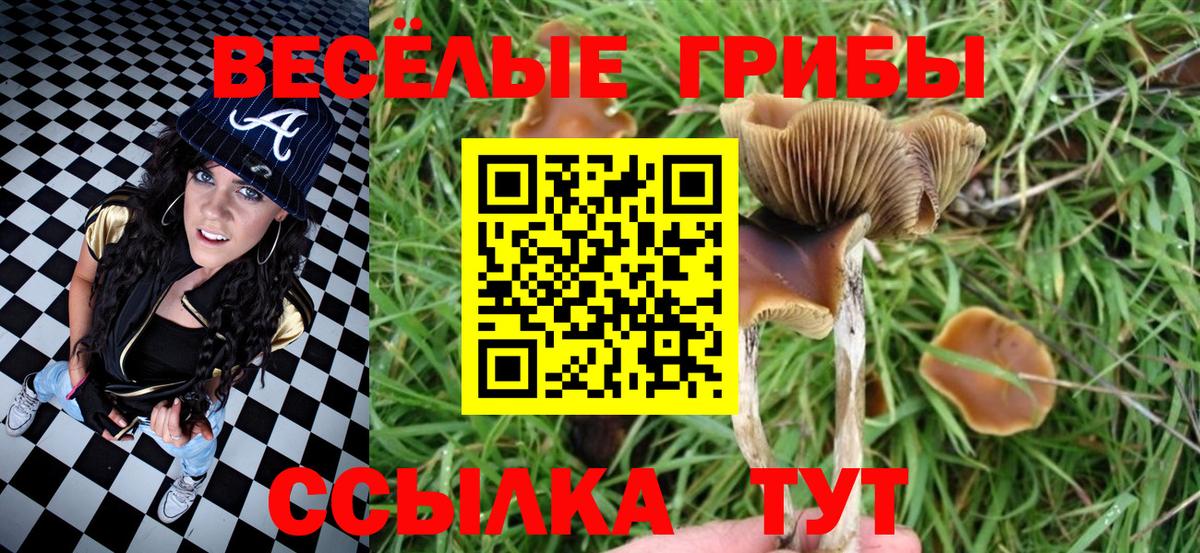 Коломна  Псилоцибиновые грибы Cubensis  Псилоцибиновые грибы мухоморы  Вход с VPN 